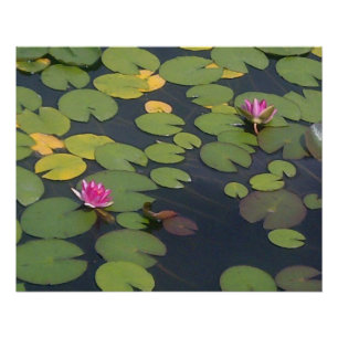 Poster Peinture à la fleur d'eau