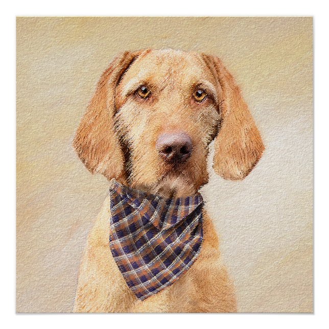 Poster Peinture à poils durs Vizsla - Jolie Art Original  (Devant)