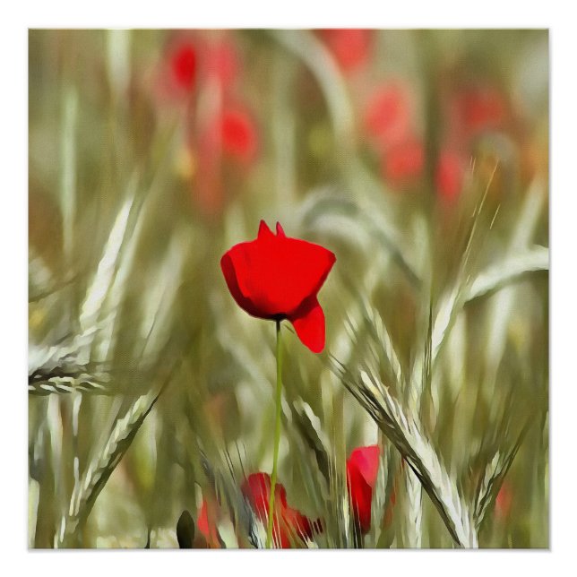 Poster Peinture acrylique Hot Poppy (Devant)