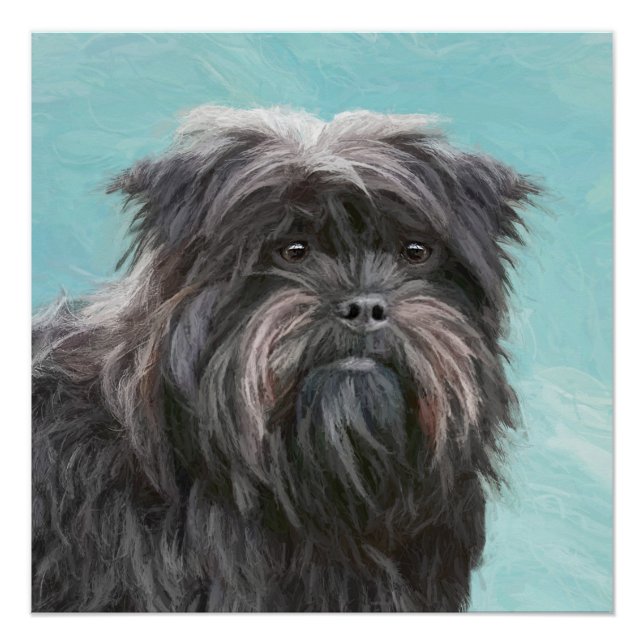 Poster Peinture Affenpinscher - Joli art original chien (Devant)