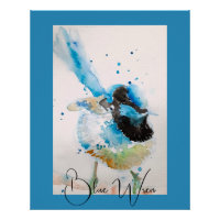 Peinture aquarelle Troglodyte bleu Oiseaux austral