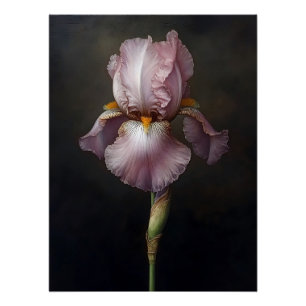 Poster Peinture Botanique Iris Violet