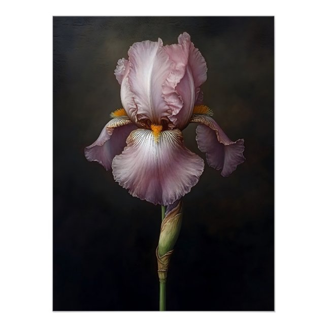 Poster Peinture Botanique Iris Violet (Devant)