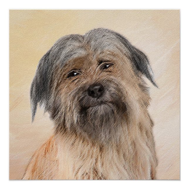 Poster Peinture de berger pyrénéenne - Cute Original Chie (Devant)