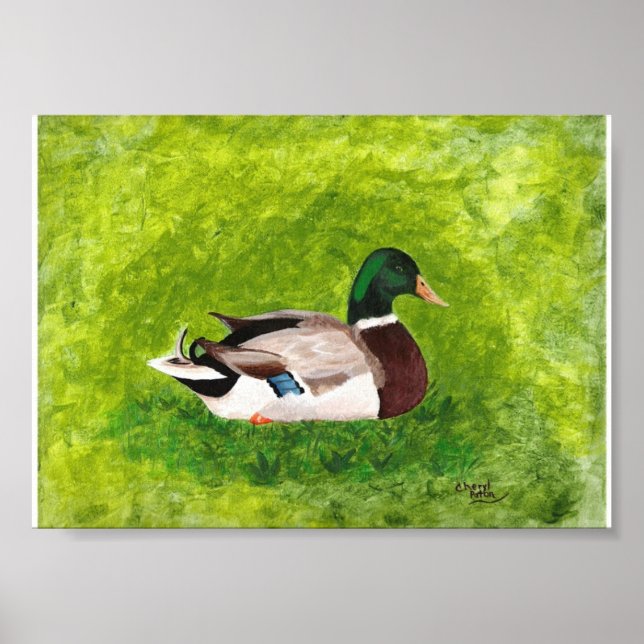 Poster Peinture de canard colvert assis dans l'herbe Affi (Devant)