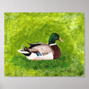 Poster Peinture de canard colvert assis dans l'herbe Affi
