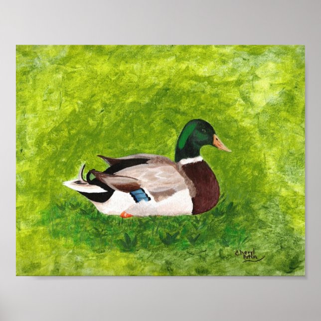 Poster Peinture de canard colvert assis dans l'herbe Affi (Devant)