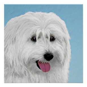 Poster Peinture de chien de berger polonais - Chien d'ori