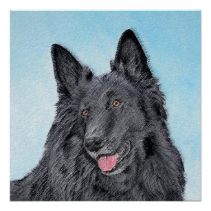 Poster Peinture de chiens de mouton belge - Beau art orig
