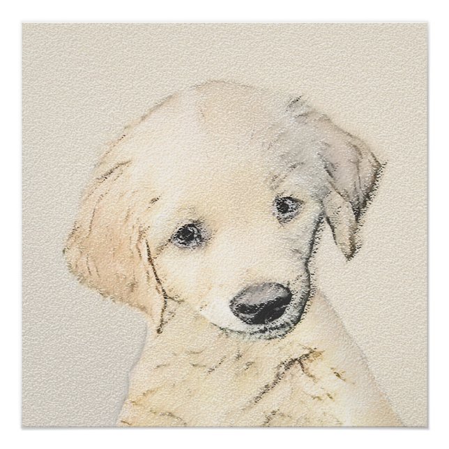 Poster Peinture de chiot d'or Retriever - Art de chien or (Devant)