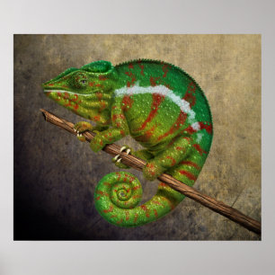 Poster Peinture de Digitals de caméléon de panthère