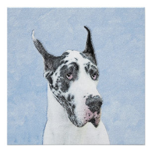 Poster Peinture de Great Dane (Harlequin) - Art original 