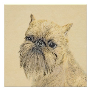 Poster Peinture de Griffon Bruxellois - Art Original Mign