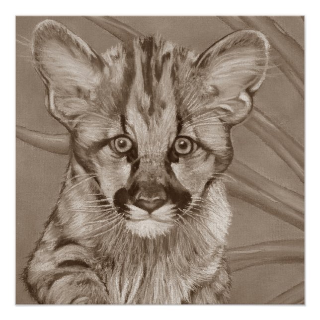 Poster peinture de la jolie cougar kitten gros chat faune (Devant)