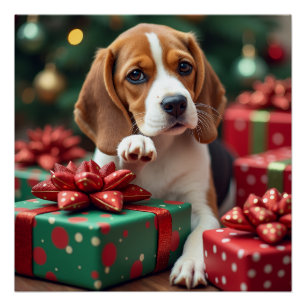 Poster Peinture de Noël : un Beagle emballant des cadeaux