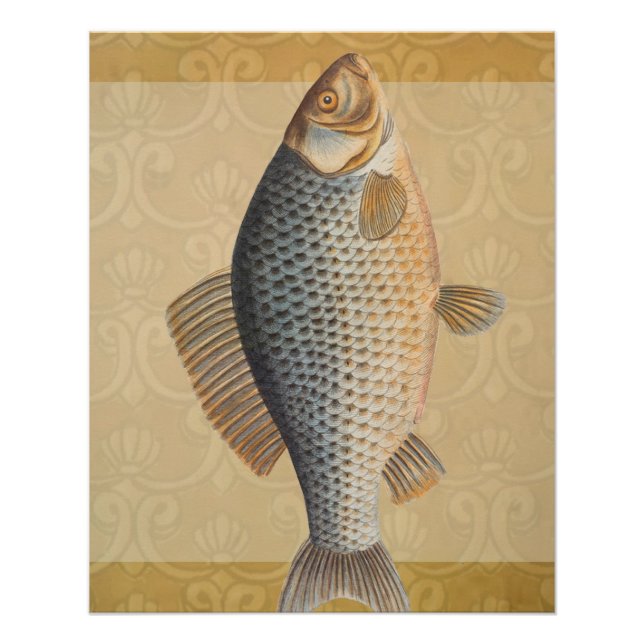 Poster peinture de pêche de carpe dessin d'eau douce  (Devant)