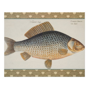 Poster peinture de pêche de carpe dessin d'eau douce