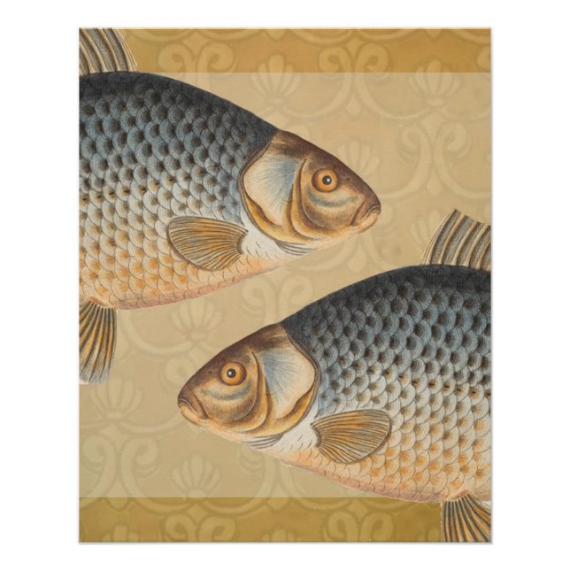 Poster peinture de pêche de carpe dessin d'eau douce  (Devant)