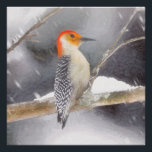 Poster Peinture de pic à ventre rouge Art original<br><div class="desc">Ce tableau plein de charme présente le portrait d'un Pic à ventre rouge perché sur une branche dans une tempête de neige. Notre spécialité réside dans l'artisanat original basé sur la nature et les animaux. Que ce soit pour vous-même ou comme un cadeau réfléchi pour vos amis amoureux des oiseaux,...</div>