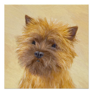 Poster Peinture de Terrier Cairn - Art Original de Chien