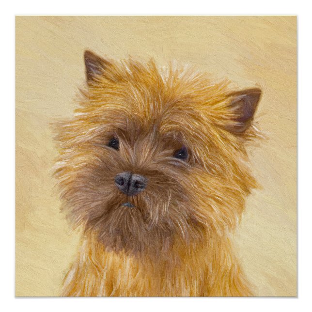 Poster Peinture de Terrier Cairn - Art Original de Chien  (Devant)