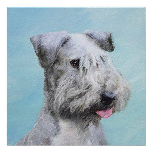 Poster Peinture de Terrier Tchèque - Joli Art Original de