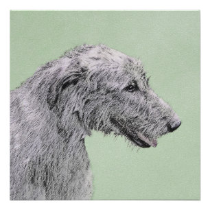 Poster Peinture de Wolfhound irlandais - Joli art origina