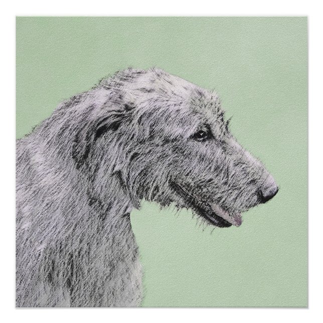 Poster Peinture de Wolfhound irlandais - Joli art origina (Devant)