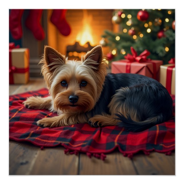 Poster Peinture de Yorkshire Terrier Soir de Noël Cosy (Devant)