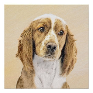 Poster Peinture d'espagnol Welsh Springer - Art original 