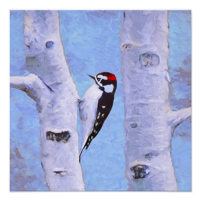 Poster Peinture Downy Woodpecker - Art original pour oise (Devant)