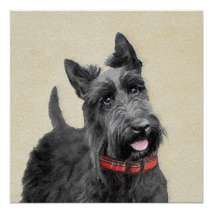 Poster Peinture écossaise Terrier - Cute Original Chien A