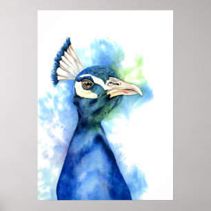 Poster Peinture Elégante Peacock Aquarelle
