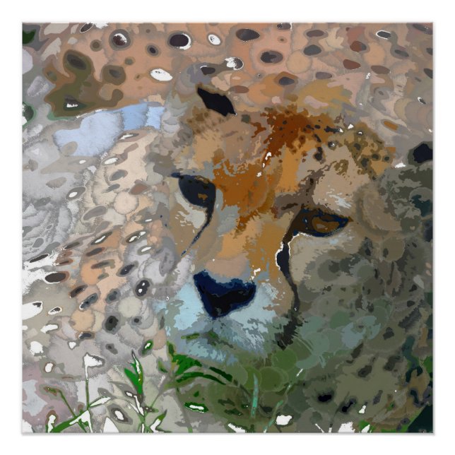 Poster Peinture folle - Cheetah (Devant)