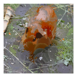 Poster Peinture folle - Cochon de Guinée