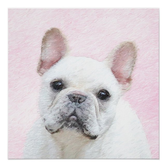Poster Peinture française de Bulldog (Crème/Blanc) - Art  (Devant)