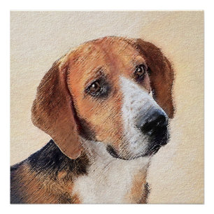 Poster Peinture Harrier - Joli art original chien