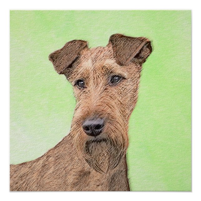 Poster Peinture Irlandaise Terrier - Cute Original Chien  (Devant)