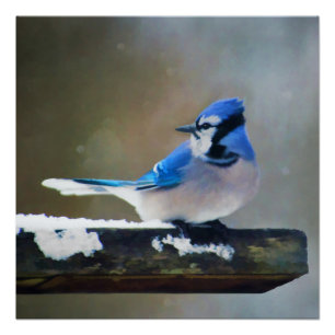 Poster Peinture Jay Bleu - Art Oiseau Original
