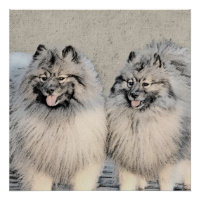 Peinture Keeshond Brothers - Art Chien original