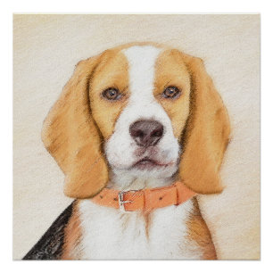 Poster Peinture originale de chien Beagle Hound Art anima