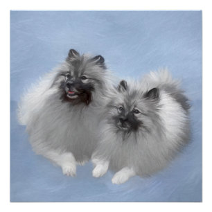 Poster Peinture originale d'un couple de Keeshond - Art a