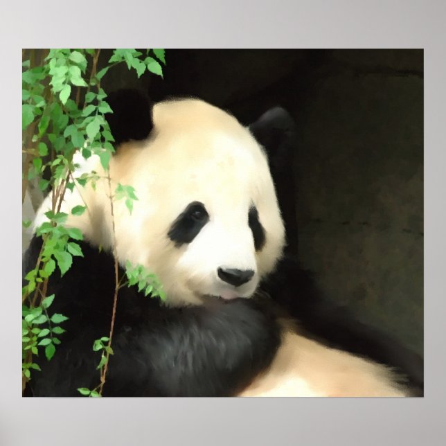 Poster Peinture Panda (Devant)