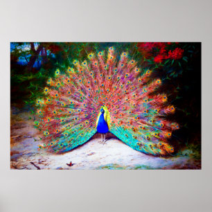 Poster Peinture Peacock vintage