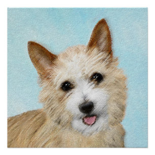 Poster Peinture Podengo Pequeno portugaise - Art original