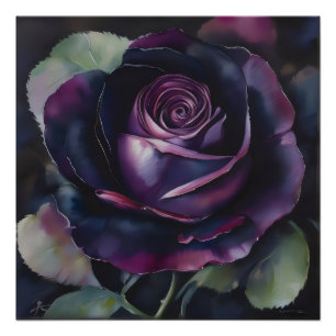 Poster Peinture Rose violet vive