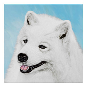 Poster Peinture Samoyède - Art de chien original mignon