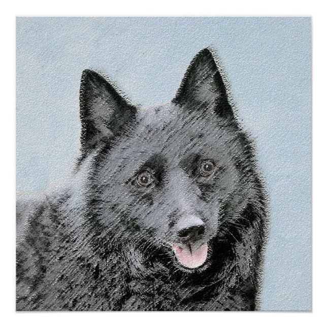 Poster Peinture Schipperke - Cute Original Chien Art (Devant)