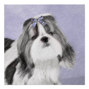Poster Peinture Shih Tzu - Cute Original Chien Art