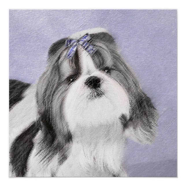 Poster Peinture Shih Tzu - Cute Original Chien Art (Devant)